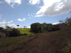 WhatsApp Image 2023-02-08 at 3.45.21 PM