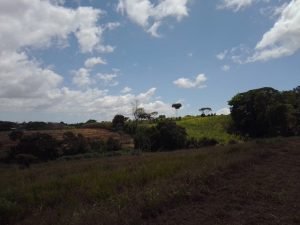 WhatsApp Image 2023-02-08 at 3.45.23 PM