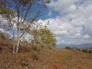 WhatsApp Image 2023-02-08 at 3.45.24 PM