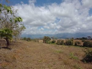 WhatsApp Image 2023-02-08 at 3.45.35 PM