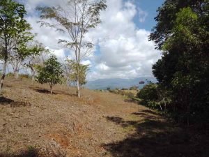 WhatsApp Image 2023-02-08 at 3.45.42 PM