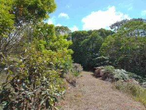 WhatsApp Image 2023-02-08 at 3.45.52 PM