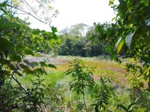 WhatsApp Image 2023-02-08 at 3.46.37 PM