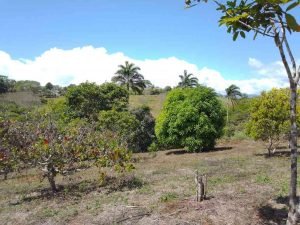 WhatsApp Image 2023-02-08 at 3.46.51 PM (1)