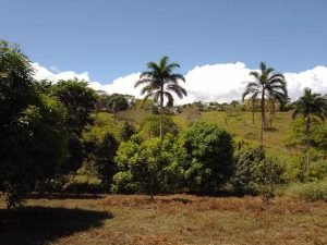 WhatsApp Image 2023-02-08 at 3.46.52 PM (1)