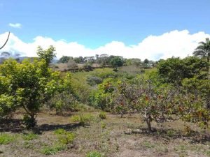 WhatsApp Image 2023-02-08 at 3.46.52 PM