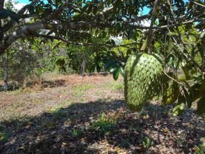 WhatsApp Image 2023-02-08 at 3.46.53 PM (1)