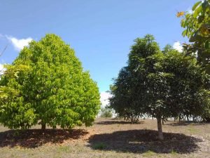 WhatsApp Image 2023-02-08 at 3.46.53 PM