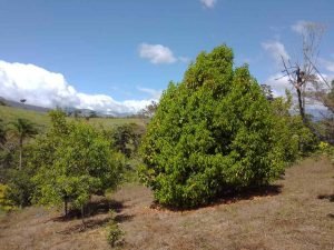 WhatsApp Image 2023-02-08 at 3.46.57 PM