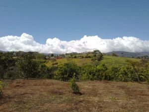 WhatsApp Image 2023-02-08 at 3.46.59 PM (1)