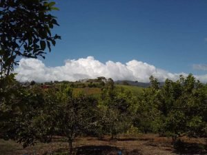 WhatsApp Image 2023-02-08 at 3.46.59 PM