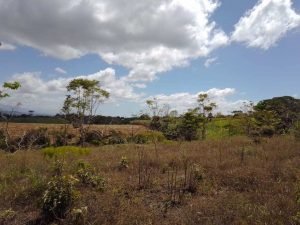 WhatsApp Image 2023-02-08 at 3.47.03 PM