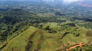 WhatsApp Image 2023-05-02 at 09.39.52 (1)