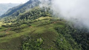 WhatsApp Image 2023-05-02 at 09.39.52 (2)