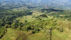 WhatsApp Image 2023-05-02 at 09.39.53