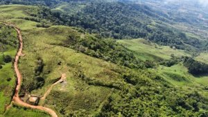 WhatsApp Image 2023-05-02 at 09.39.54