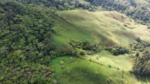 WhatsApp Image 2023-05-02 at 09.39.59