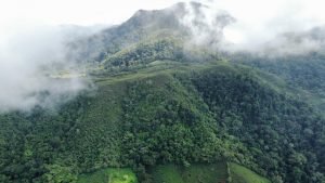 WhatsApp Image 2023-05-02 at 09.40.09