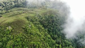 WhatsApp Image 2023-05-02 at 09.40.50