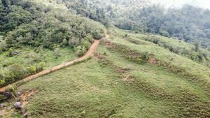 WhatsApp Image 2023-05-02 at 09.40.51