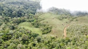 WhatsApp Image 2023-05-02 at 09.40.52