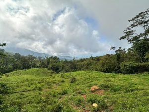 WhatsApp Image 2023-05-02 at 09.40.59 (1)