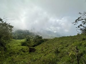 WhatsApp Image 2023-05-02 at 09.40.59