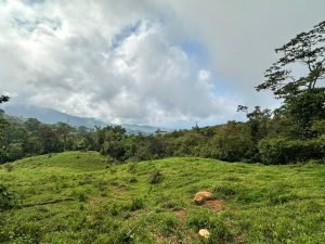 WhatsApp Image 2023-05-02 at 09.41.00