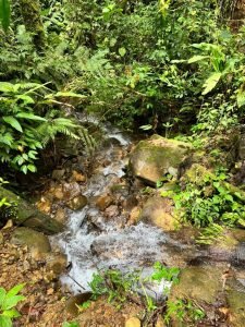 WhatsApp Image 2023-05-02 at 09.41.01