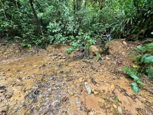 WhatsApp Image 2023-05-02 at 09.41.02