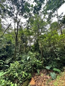 WhatsApp Image 2023-05-02 at 09.41.03 (1)