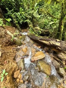 WhatsApp Image 2023-05-02 at 09.41.03