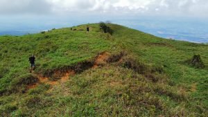 WhatsApp Image 2023-05-02 at 09.41.04