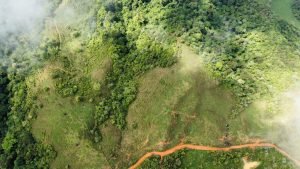 WhatsApp Image 2023-05-02 at 09.41.06 (1)