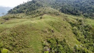 WhatsApp Image 2023-05-02 at 09.41.08 (1)