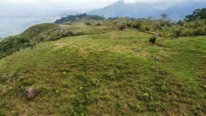 WhatsApp Image 2023-05-02 at 09.41.08