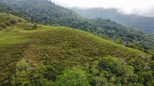 WhatsApp Image 2023-05-02 at 09.41.09 (1)