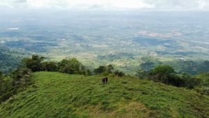 WhatsApp Image 2023-05-02 at 09.41.12