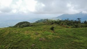 WhatsApp Image 2023-05-02 at 09.41.13 (2)