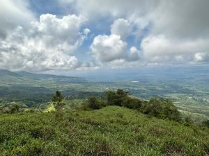 WhatsApp Image 2023-05-02 at 09.41.14 (3)