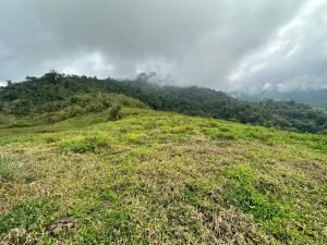 WhatsApp Image 2023-05-02 at 09.41.15 (2)