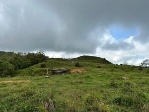 WhatsApp Image 2023-05-02 at 09.41.18 (3) (1)