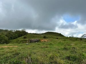 WhatsApp Image 2023-05-02 at 09.41.18 (3)