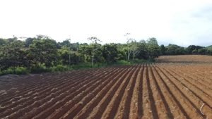 WhatsApp Image 2023-05-15 at 10.13.37