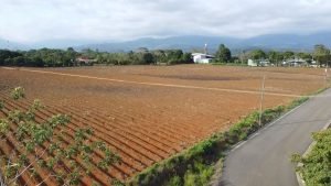 WhatsApp Image 2023-05-15 at 10.13.38 (1)