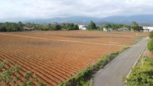 WhatsApp Image 2023-05-15 at 10.13.39 (1)