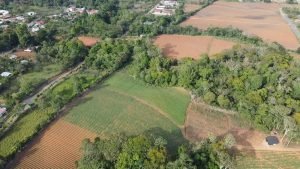 WhatsApp Image 2023-05-15 at 10.13.48