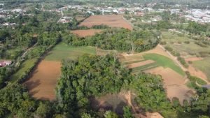 WhatsApp Image 2023-05-15 at 10.13.50