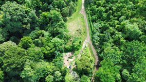 WhatsApp Image 2023-07-16 at 8.53.22 AM