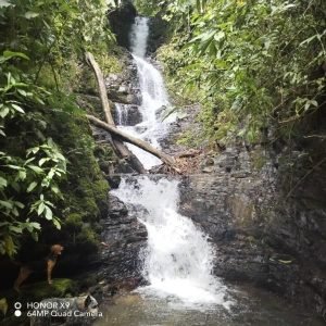 WhatsApp Image 2023-09-08 at 11.42.19 AM